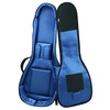 Reunion Blues RBX LP Style Guitar Gig Bag