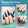 SUPWEE Quick Dry Cat Eye Nail Polish, Cateye Magnetic Nail