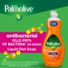 Palmolive Ultra Antibacterial Liquid Dish Soap, Plant Based, 20 Ounce,