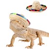 2 Pack Bearded Dragon Sombrero Hats - Lizard Cinco De