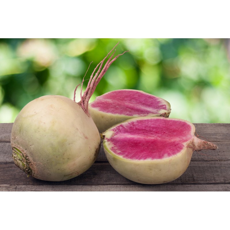 Radish Seeds Variety Pack for Planting – 4 Heirloom Varieties: