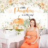 Mocsicka Pumpkin Baby Shower Backdrop Fall Baby Shower Background A