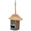 Hand Made Birdhouse Covered Resin Bird Feeder for Home Garden