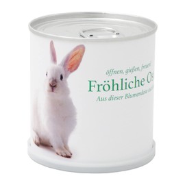 MacFlowers Easter Greetings Easter Bouquet Easter Bunny Jewellery Basket Cultivation Set Gift