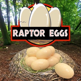 Crazy Nate's Raptor Eggs - Freeze-Dried Bit-O-Honey Candy | Unique Honey and Almond Crunch | Gourmet Freeze-Dried Treats (1 BAG)