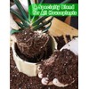 TOYPOPOR Potting Soil for All Indoor Houseplants, Contains Perlite, Peat
