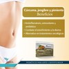 PAVIA | Probióticos vivos con Cúrcuma pimienta y jengibre |