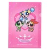 Powerpuff Girls Clear Folder A4 Single Clear File / Pink