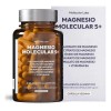 Molecular Labs Magnesio Cápsulas 600 Vitamina Tipos