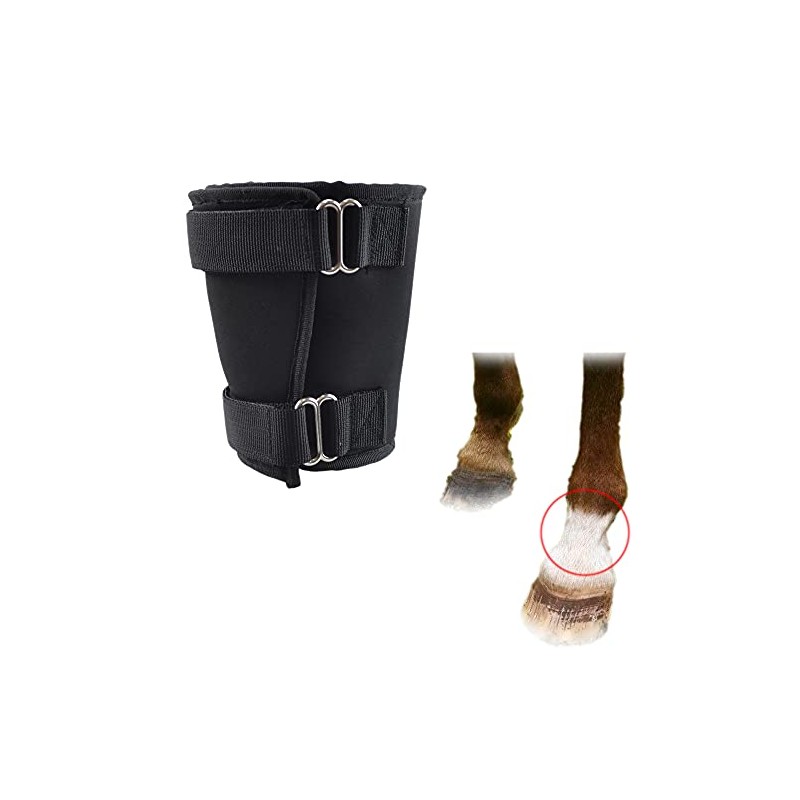 Coronet Fetlock Shield for Horse Neoprene Bedsore Boot Fetlock Sores