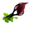 KitchenCraft Kitchen Scissors with Bottle Opener, Stainless Steel, Multi Purpose