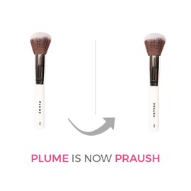 PRAUSH P01 - Professional Powder Big Brush