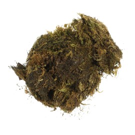 Operitacx Vivid Artificial Moss for DIY Moss Projects Decorative Terrarium for Potted Plants Landscape Decor