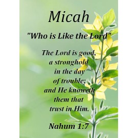 Micah "Who is Like the Lord" Keepsake Name Meaning Card with Bible Verse