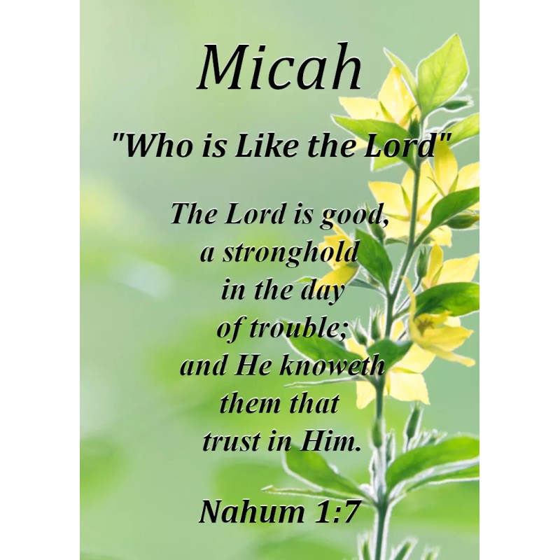 Micah "Who is Like the Lord" Keepsake Name Meaning Card