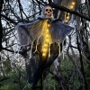 RICUVED - 2pcs Esqueletos Fantasma Colgante Halloween Decoración Y Luz