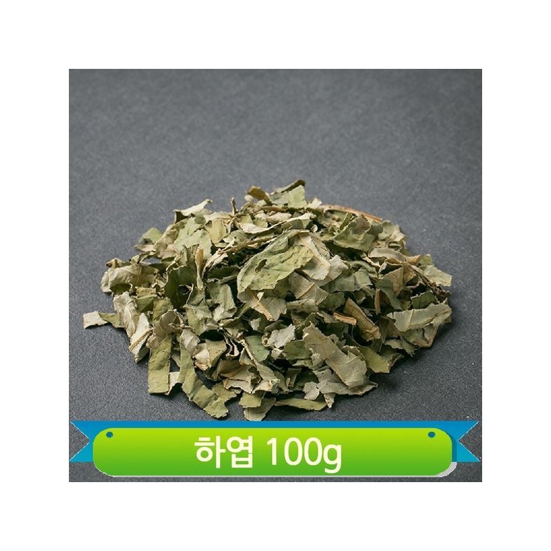 국내산 말린 연잎 하엽 100g 연잎차 건조 약재 차 정성담은