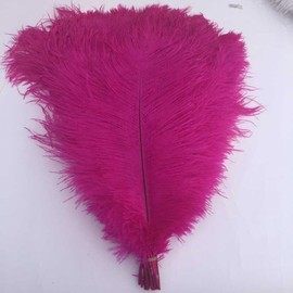 Ewandastore 20pcs Ostrich Feathers,10-12inch 25-30cm Real Natural Ostrich Feathers DIY Craft Feather for Home Party Wedding Decoration(Hot Pink)