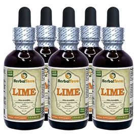 Lime (Key Lime Aurantifolia) Tincture, Organic Dried Peel Liquid Extract (Brand name: HerbalTerra, Proudly made in USA) 5x2 fl.oz (5x60 ml)
