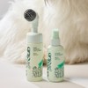 innisfree 이니스프리 그린펫클럽 2종세트 (발세정제 150ml + 미스트 150ml) [동물용