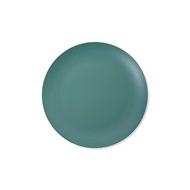 Tradition Acoustic TRIBECA PLAWARE 10" PLATE GREEN 27cm