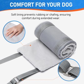 Dog Lift Harness for Small Dogs, Adjustable Dog Sling for Back Legs, Hip Support Harness to Help Lift Dogs Rear for Canine Aid and Old K9 Cruciate Ligament Rehabilitation - Small, Grey