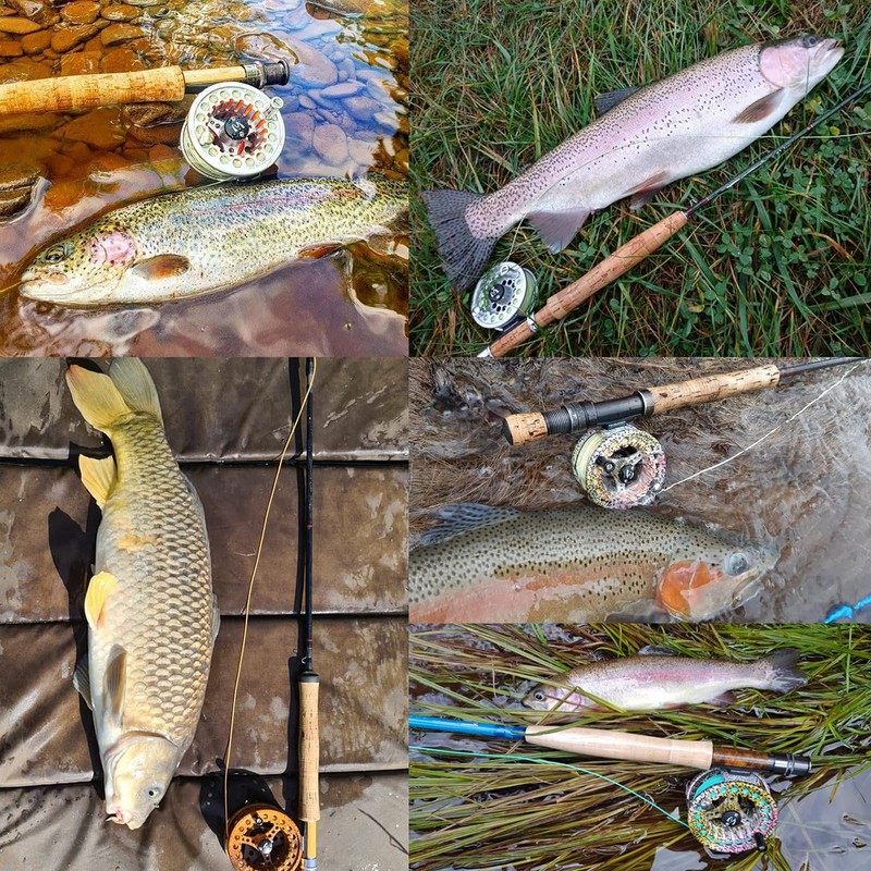 M MaximumCatch Maxcatch Eco Trout Fly Reel, Large Arbor, 3/4