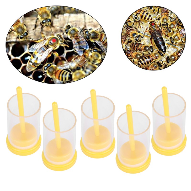 5Pcs Queen Bee Marking Bottle Catcher Cage Tube Lightweight Plastic