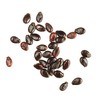Georgia Rattlesnake Watermelon Seeds - Large Heirloom Watermelon