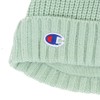Champion 438-0033 Kids' Knit Cap, mint