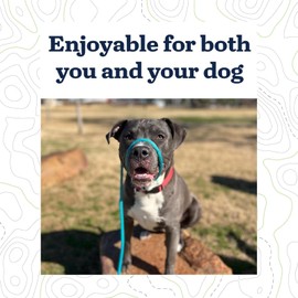 Mad Dog Products English Slip Dog Lead | 3/8 Inch x 6 Feet | Teal