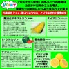 リンゴ酸マグネシウムサプリ カラオケっ習慣(カラオケサプリ) 60粒 カラオケ習慣 お試し カラオケサプリ ボイスケア リンゴ酸 マグネシウム 発声