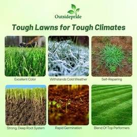 Outsidepride Combat Extreme Northern Zone - 25 Lbs Cold-Hardy, Drought-Resistant Turf Type Tall Fescue & Kentucky Bluegrass Lawn Grass Seed Blend, OptiGrowth Coated for Better Establishment