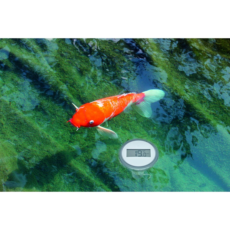 TFA Dostmann Palma 30.3067.10 Digital Wireless Pool Thermometer for Swimming