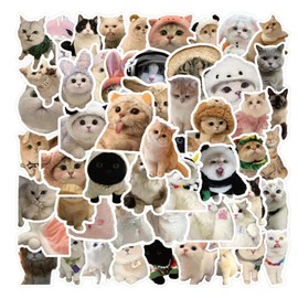 MUSHI 100 Stickers de GATOS paquete con stickers de gatitos de Vinilo pegatinas para niñas y niños Stickers para laptop, Termos, Celulares, Guitarras, Refrigeradores, Bicicletas, Patinetas