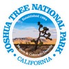 CafePress Joshua Tree (NP2) Medium Die Cut Sticker, 5.75" x