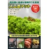 Professional Perspective: Reptile, Amphibians, Artificial Turf, Rearing Mat, Flooring Material,
