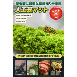 Professional Perspective: Reptile, Amphibians, Artificial Turf, Rearing Mat, Flooring Material, Cut with Scissors, Moisturizing, Absorbent, Washable, Frog, Turtle, Snake, Soft Material (7.9 x 7.9