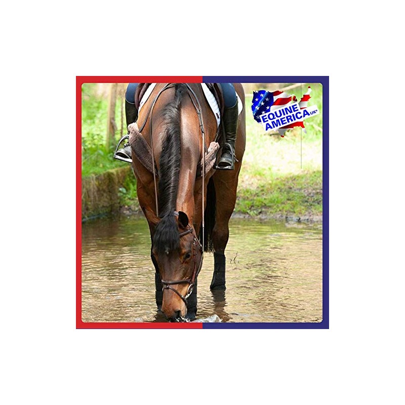 Equine America Horse Electrolytes Energy Peformance Paste