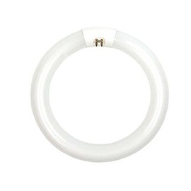 22 Watt Circline Fluorescent Bulb with T9 Base, Day Light Color Temperature (2 Units)