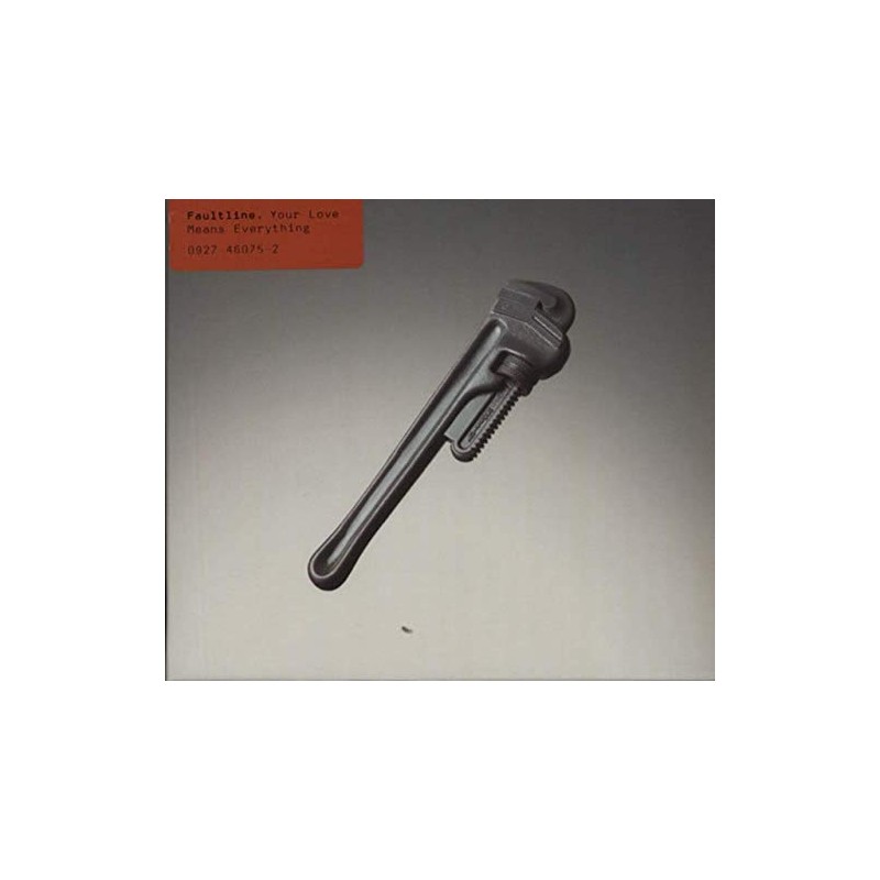 Your Love Means Everything