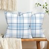 Mondiafy 2 Pack Throw Pillow Covers Soft Touch Plush 18x18