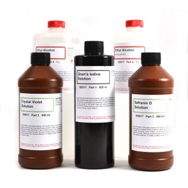 Innovating Science Gram's Stain Kit - Large