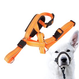 Dog Head Halter Muzzle, Padded Nose Bridge Breathable Orange Headcollar Dog Muzzle Adjustable Front Control Design for Walking (S)
