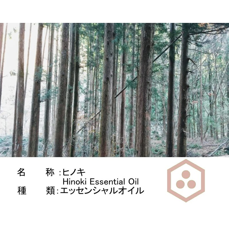 NOTO Hinoki Essential Oil, 0.3 fl oz (10 ml), Essential