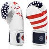 Fairtex BGV1 Muay Thai Boxing Training Sparring Gloves for Men,
