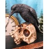 Foreboding Dark Crow Raven On Skull Statue 5"Tall Ossuary Scavenger