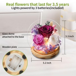YAOSTDDZ Preserved Real Rose Glass Dome with LED Lights, Purple and White Roses,Wooden Base, Anniversary Valentine Day Mothers Day Christmas Birthday Gifts for Women Daughter Mom Wife Friend