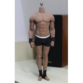 TBLEAGUE PHICEN 1/6 Supernatural Dean Winchester Jensen Ackles Head w/ PHICEN M33 SEAMLESS Body