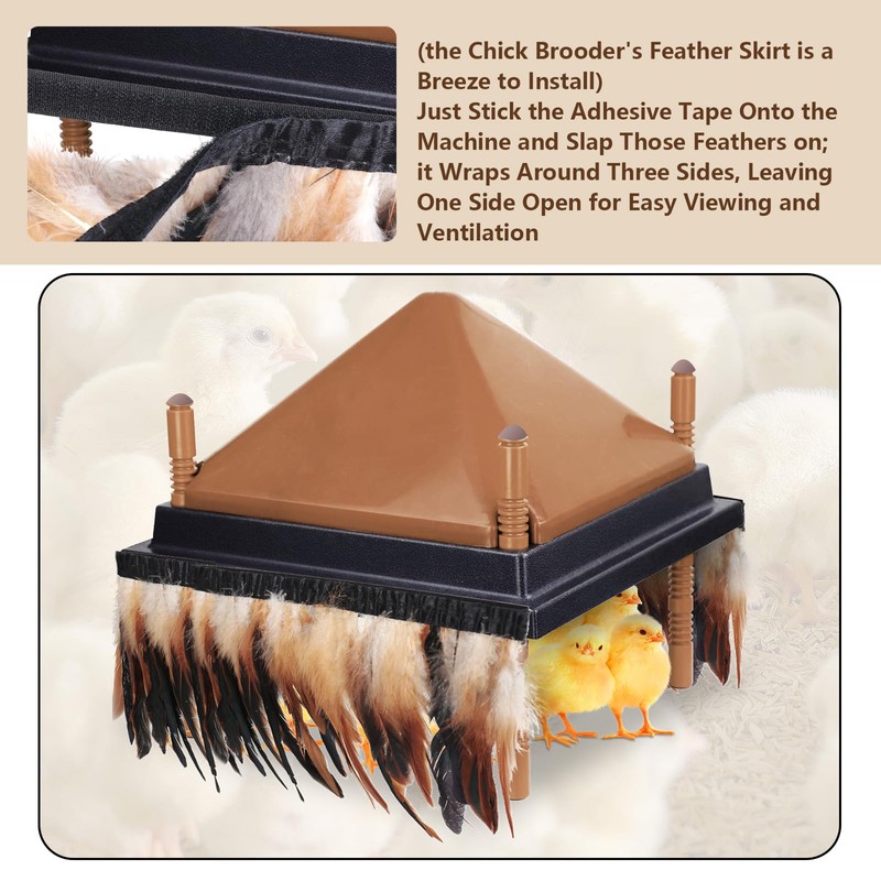 6.5FT Feathers for Chick Brooder Heating Plate,Warm and Secure As
